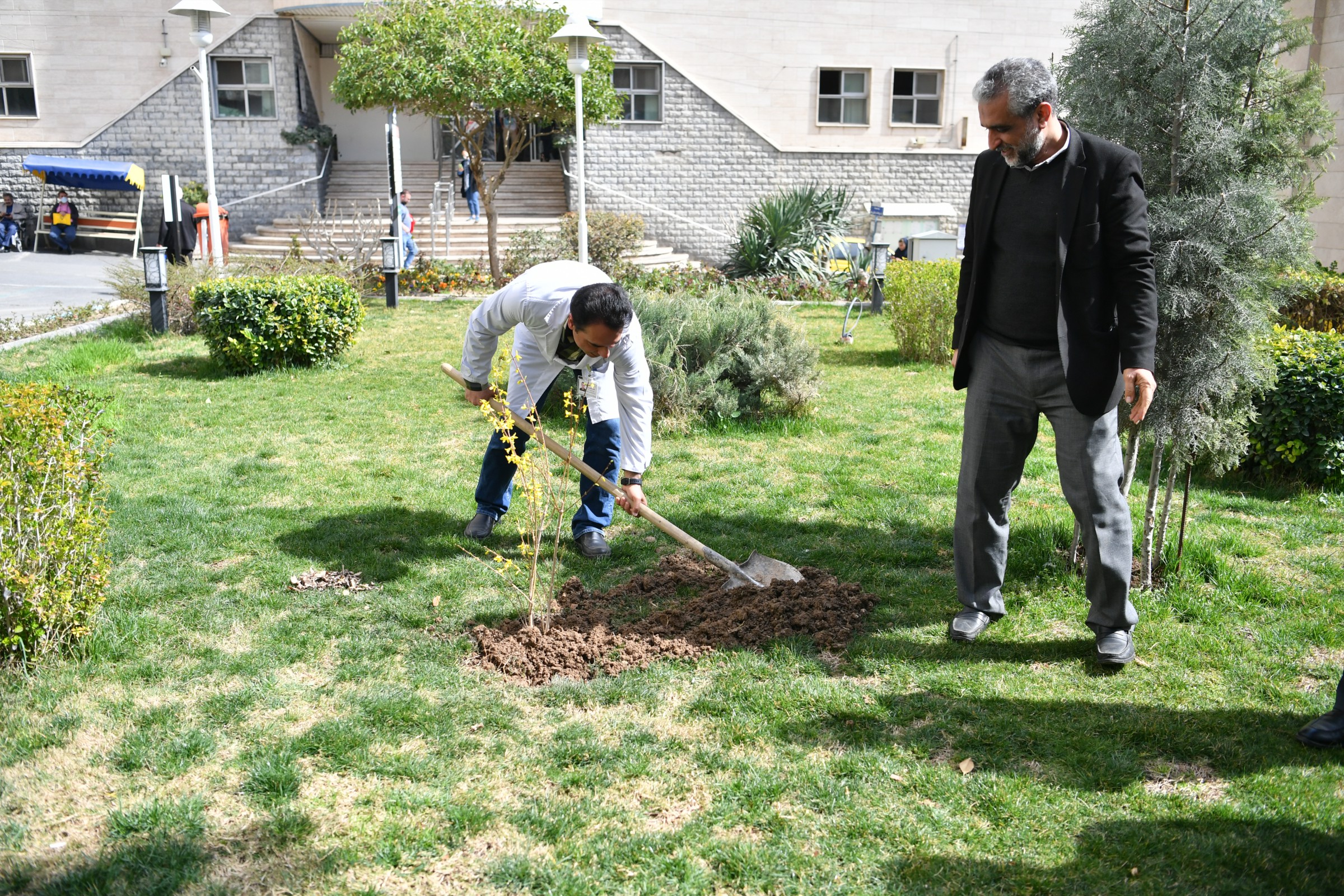 روز درختکاری 10